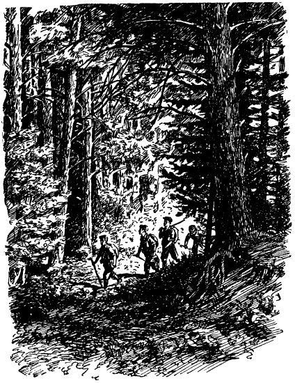 Тропой смелых i_012.png