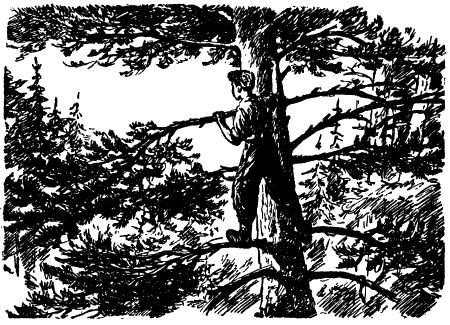 Тропой смелых i_015.png