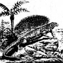 Энциклопедия языческих богов. Мифы древних славян i_171.jpg