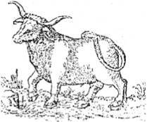 Энциклопедия языческих богов. Мифы древних славян i_506.jpg