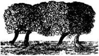 Энциклопедия языческих богов. Мифы древних славян i_048.jpg