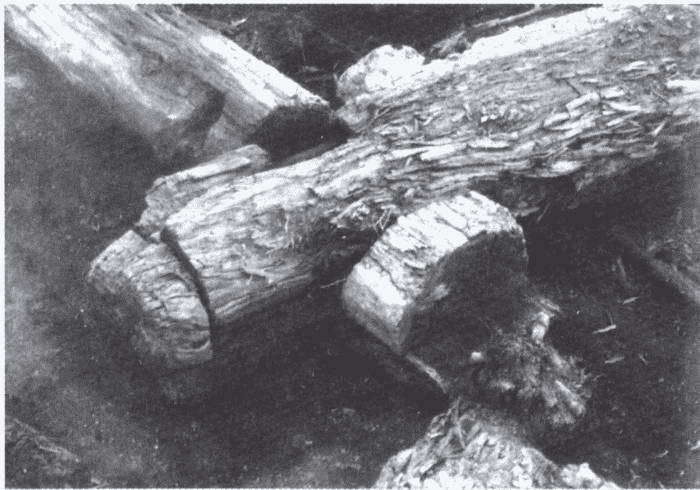 Князь Рюрик и его время i_073.jpg