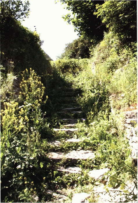 Князь Рюрик и его время i_102.jpg