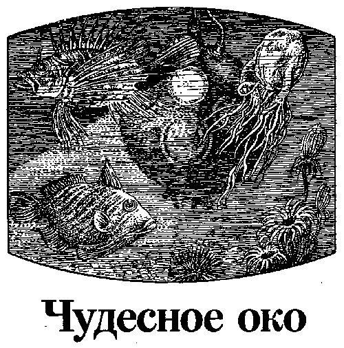 Человек-амфибия (сборник) i_012.png