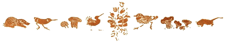 Медовый дождь i_003.png