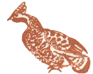 Медовый дождь i_033.png