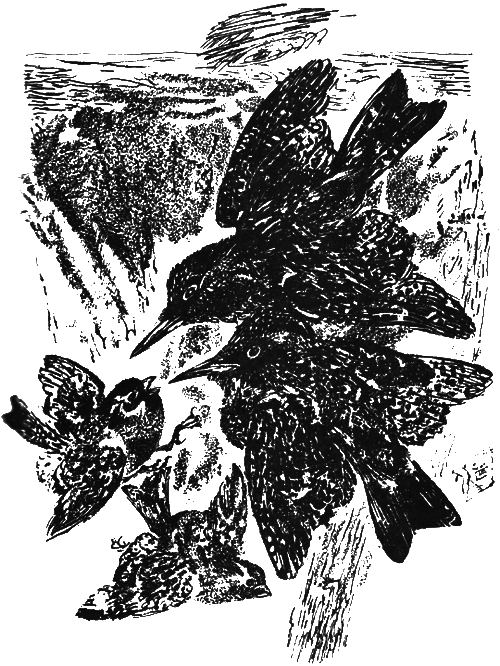 Медовый дождь i_037.png