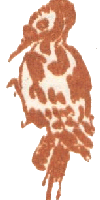 Медовый дождь i_053.png