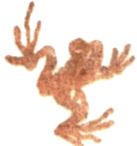 Медовый дождь i_062.png