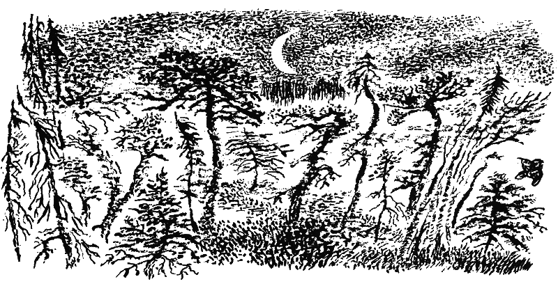 Медовый дождь i_065.png