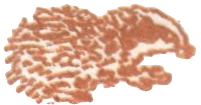 Медовый дождь i_073.png