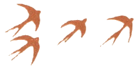 Медовый дождь i_076.png