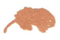 Медовый дождь i_083.png