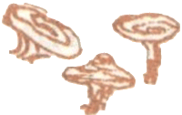 Медовый дождь i_093.png
