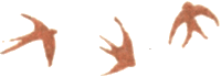 Медовый дождь i_096.png
