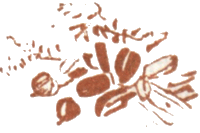 Медовый дождь i_101.png