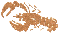 Медовый дождь i_112.png