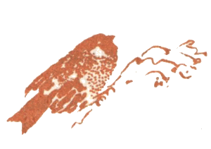 Медовый дождь i_022.png