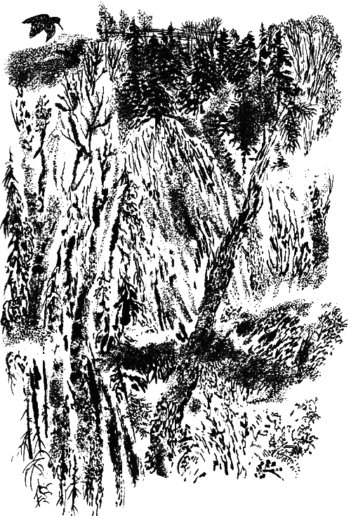 Медовый дождь i_026.png
