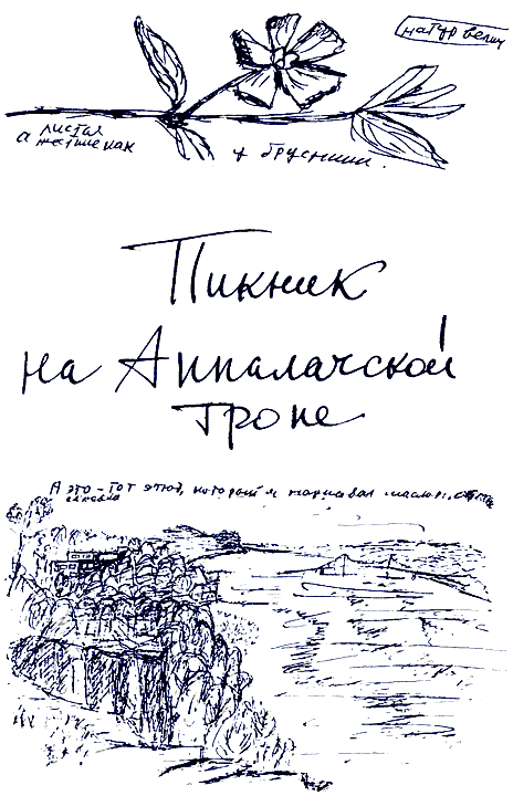 Пикник на Аппалачской тропе i_032.png