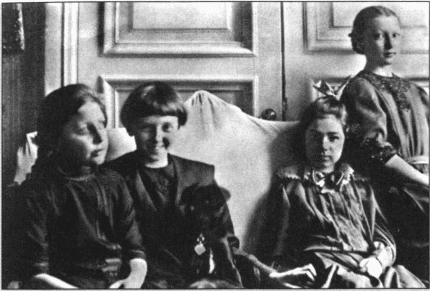 Двадцатый век Анны Капицы: воспоминания, письма i_013.jpg