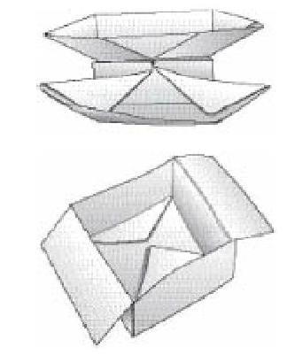 Величайшее Шоу на Земле: свидетельства эволюции. gl8_origami1.JPG