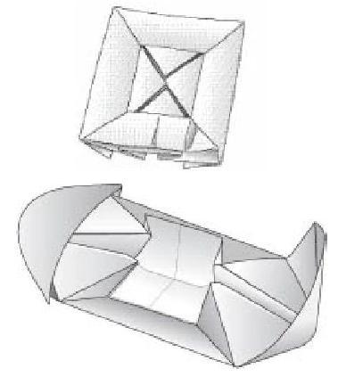 Величайшее Шоу на Земле: свидетельства эволюции. gl8_origami2.JPG