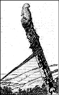 История про тегумайские табу i_001.png