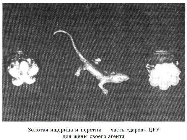 «Оборотни» из военной разведки i_082.jpg