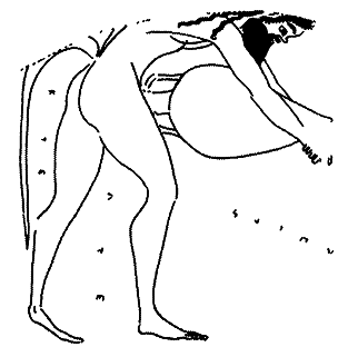 Вино в потоке образов pic_67.png