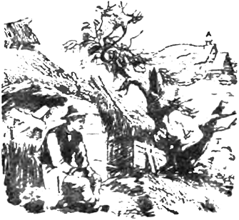 Рассказы _005_oroshijjzarabotok2.png