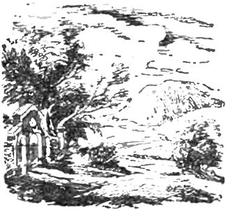 Рассказы _007_Lesaipastbishha2.png