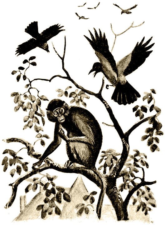 Пернатые артисты i_006.png
