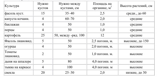 Умный сад и хитрый огород _7.jpg