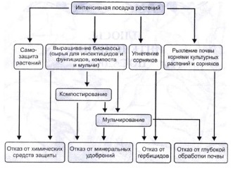 Меланжевый огород i_002.jpg