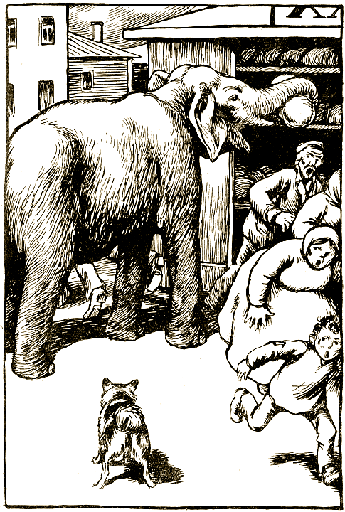 Звери дедушки Дурова i_011.png