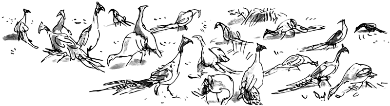 Дэнни - чемпион мира i_055.png