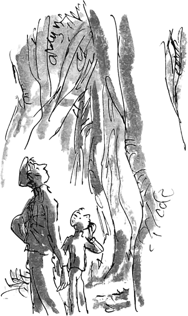 Дэнни - чемпион мира i_058.png