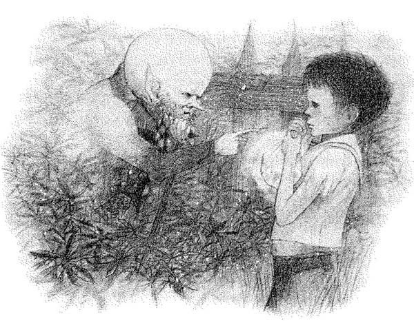 Джеймс и Персик-великан i_005.jpg