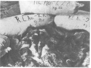 Сроку давности не подлежит i_021.jpg