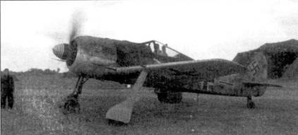 Асы люфтваффе пилоты Fw 190 на Западном фронте pic_59.jpg