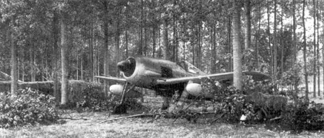 Асы люфтваффе пилоты Fw 190 на Западном фронте pic_106.jpg
