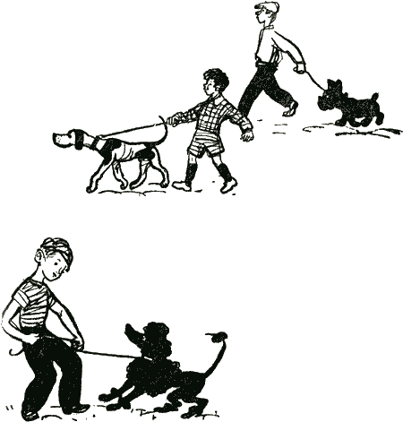 Братство Белого Ключа img15.png