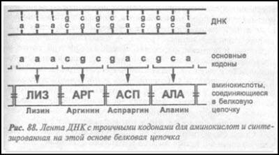 Загадка Фестского диска и змеепоклонники i_124.jpg
