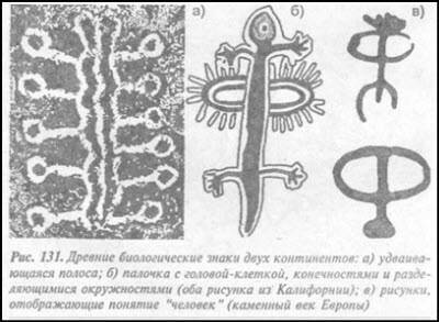 Загадка Фестского диска и змеепоклонники i_173.jpg
