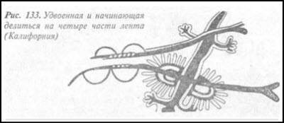 Загадка Фестского диска и змеепоклонники i_175.jpg