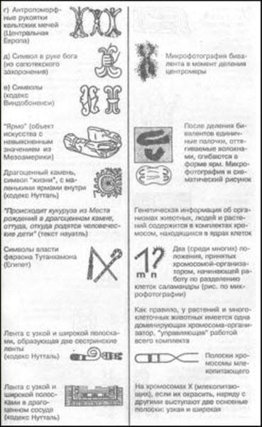 Загадка Фестского диска и змеепоклонники i_191.jpg