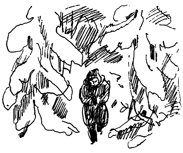 В тайге стреляют pic22.png