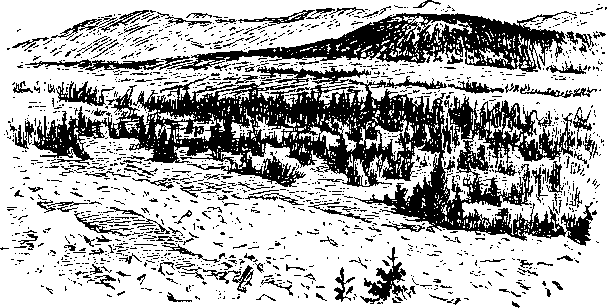 По страницам каменных летописей i_039.png
