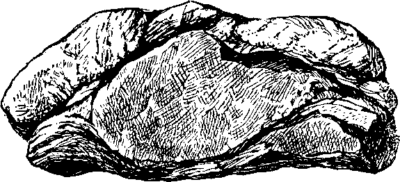 По страницам каменных летописей i_043.png